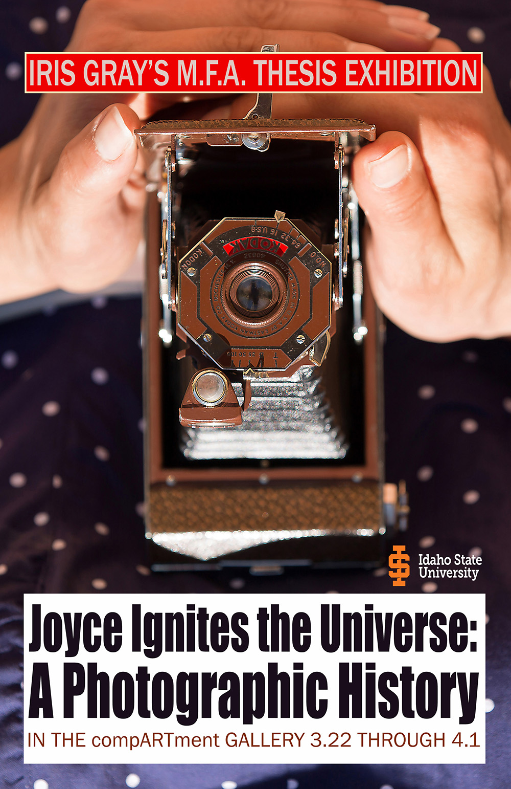 from Joyce Ignites the Universe: A Photographic History - Iris Gray's M.F.A. Thesis Installation