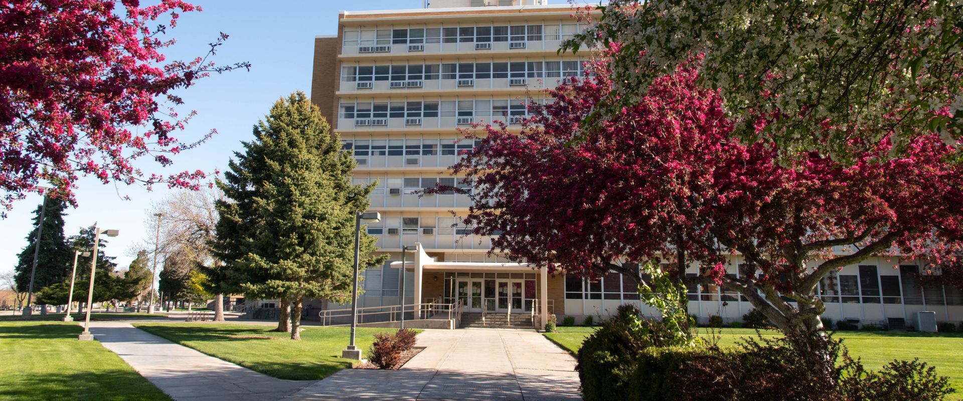 The front of Garrison Hall, a tall building with many windows. Spring blossoming trees line the walkway to the front entrance.