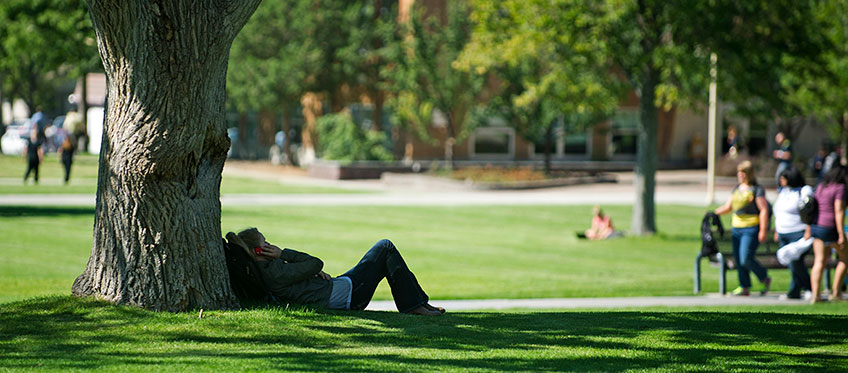 Student lying under a tree in the quad