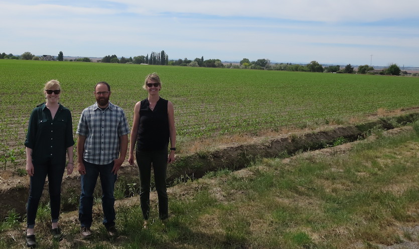 ISU researchers Meg du Bray, Morey Burnham, and Katrina Running in a farm field.