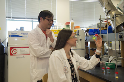 A photo of Professor Joshua Pak and student Emily Morley examining a chemical.