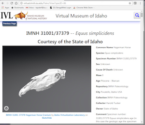  Screen shot of Idaho Virtual Museum web page showing an animal skull.