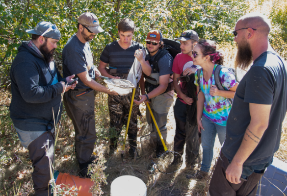 biology students working on stream