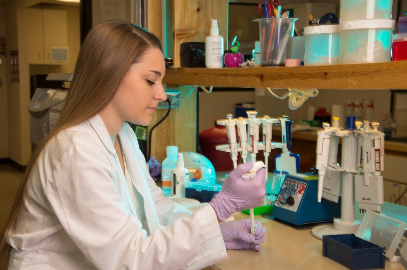 Student working in a lab