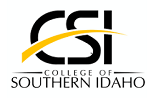 CSI Logo