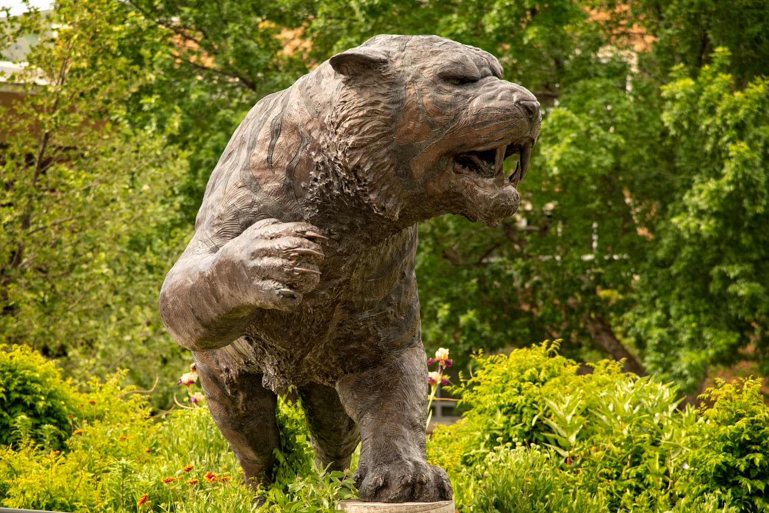 Benny the Bengal Statue