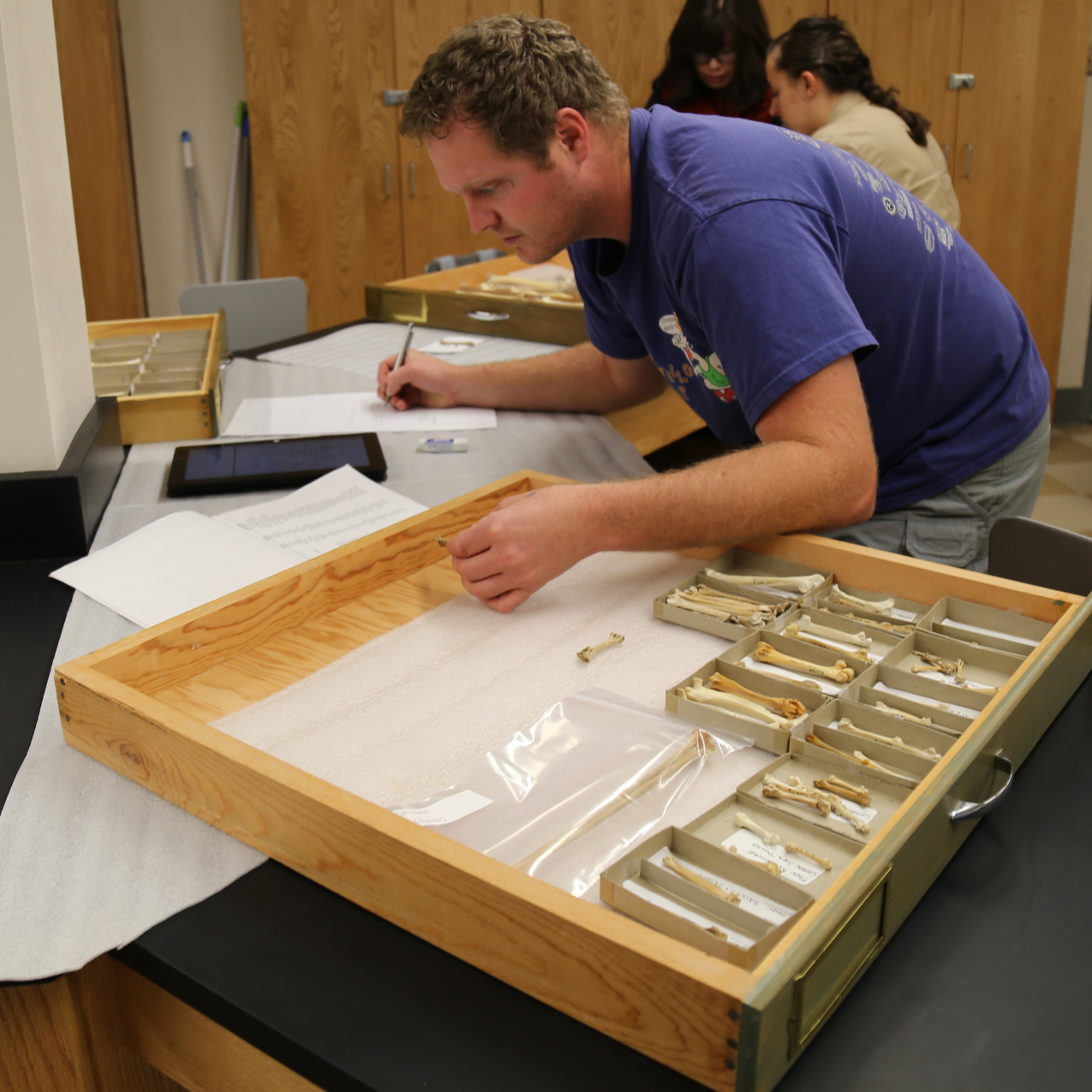 A student leans over a desk writting something on a piece of paper. Beside him is a box of bones.