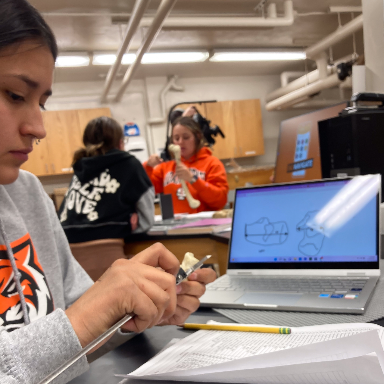 a student measures a bone with a caliper. In the background her laptop shows a sketch of a bone. Students in the background work together at another table.