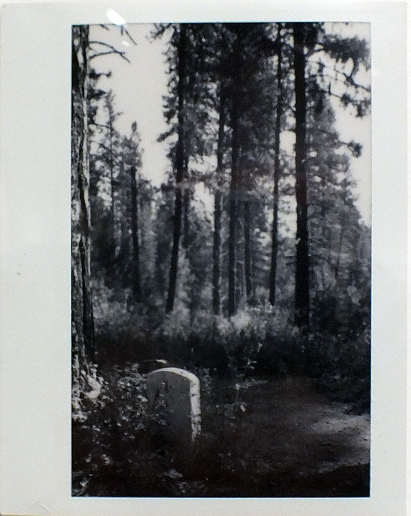 Iris Gray - Understory: 1 - Monochrome polaroid print