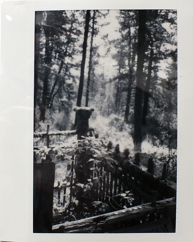 Iris Gray - Understory: 4 - Monochrome polaroid print