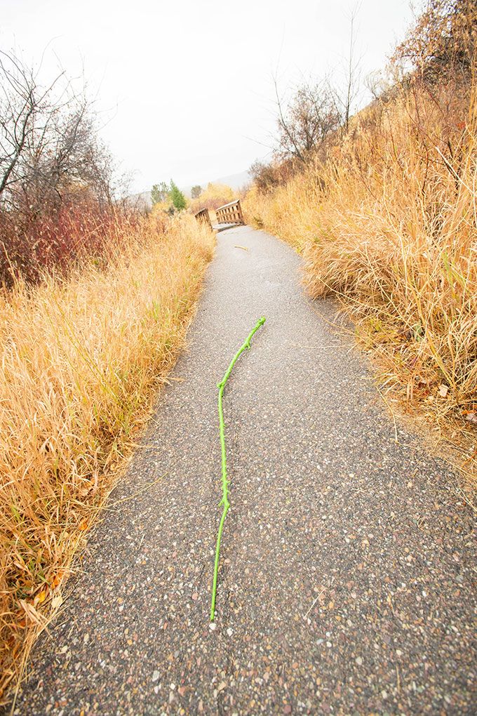 Installation photo - colorful rope laid across a gravel path