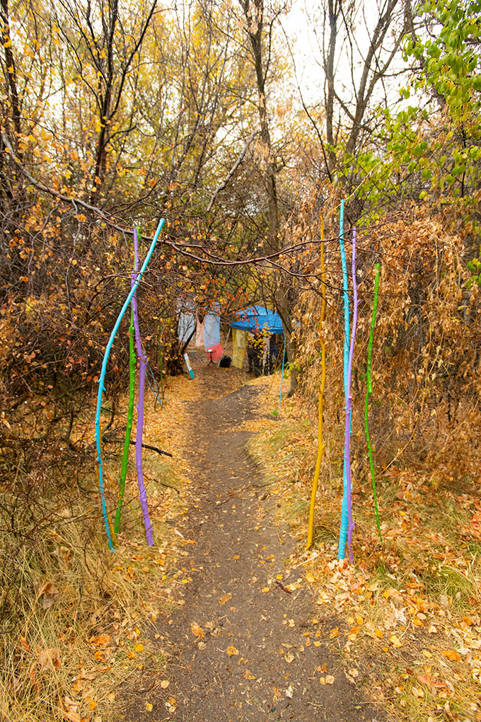 Installation photo - colorful rope hangs from trees surrounding a pathway