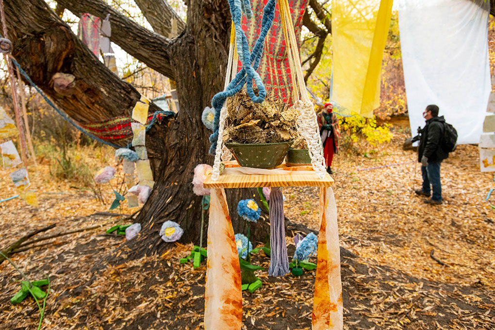 Installation photo - a potted plant is placed atop a wooden board. Strung around it are brightly dyed fabrics