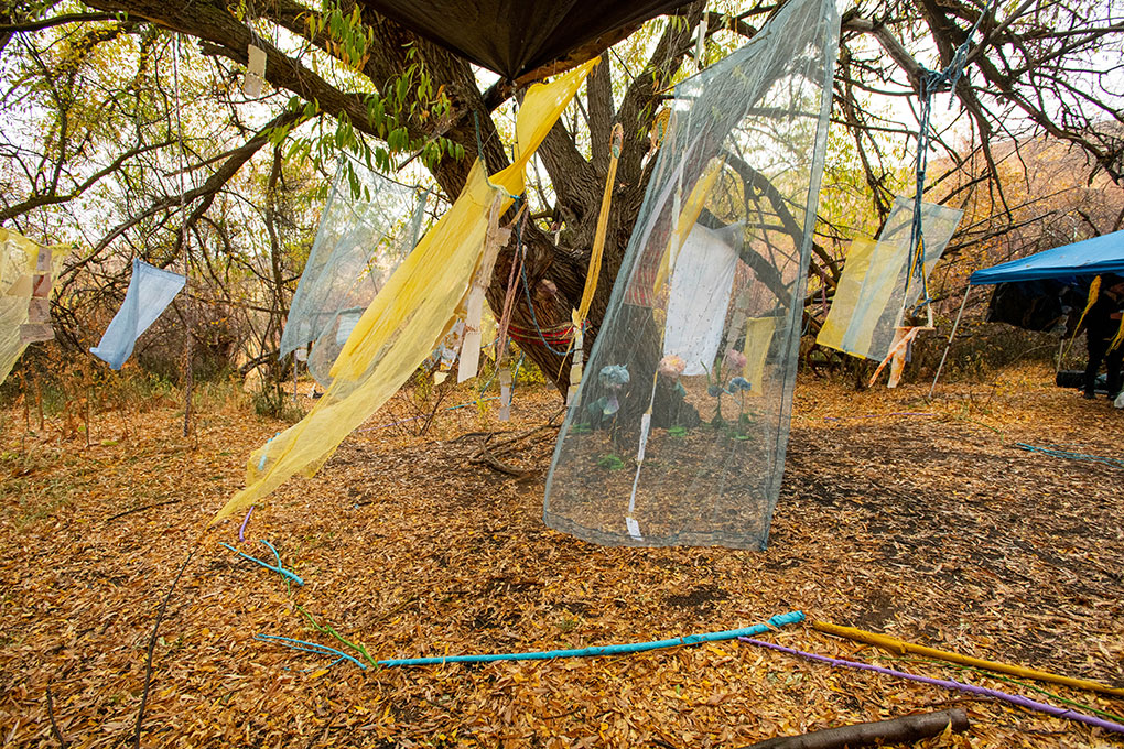 Colorful, translucent cloth hung from the branches of a tree