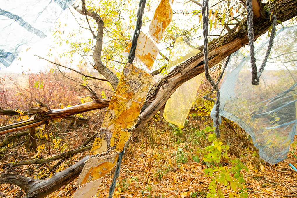 Dyed paper, ink drawings, and fabric hung from tree branches