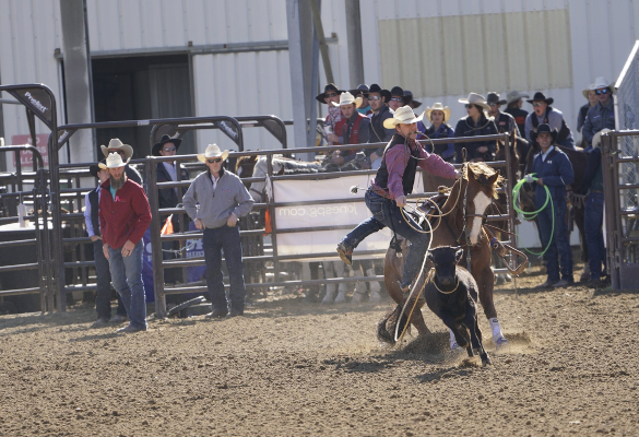 Man Riding Horse