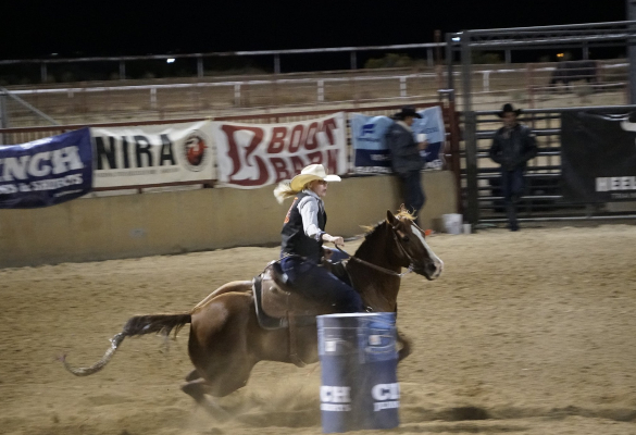 Female barrel rider rodeo