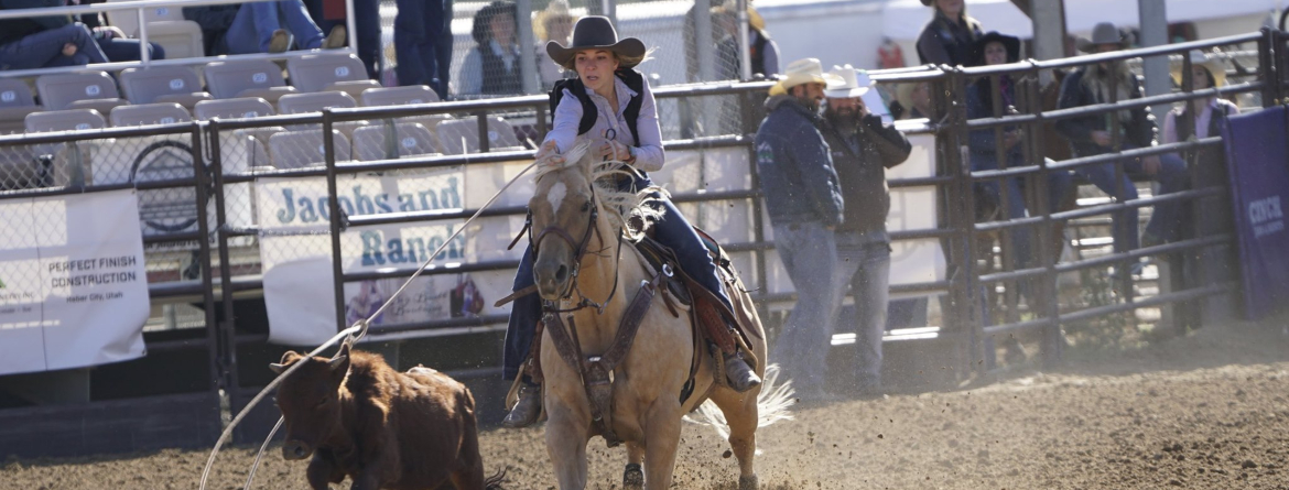 A FEMALE CALF ROPER