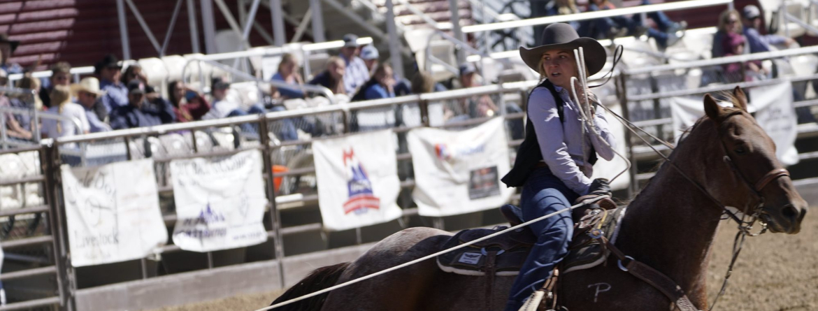 A FEMALE CALF ROPER