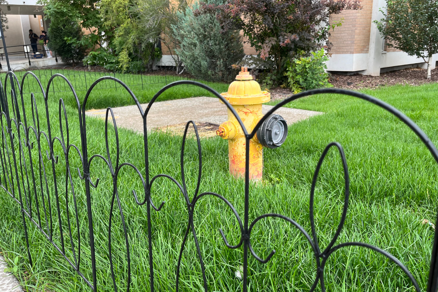A fenced off area of lawn with a fire hydrant