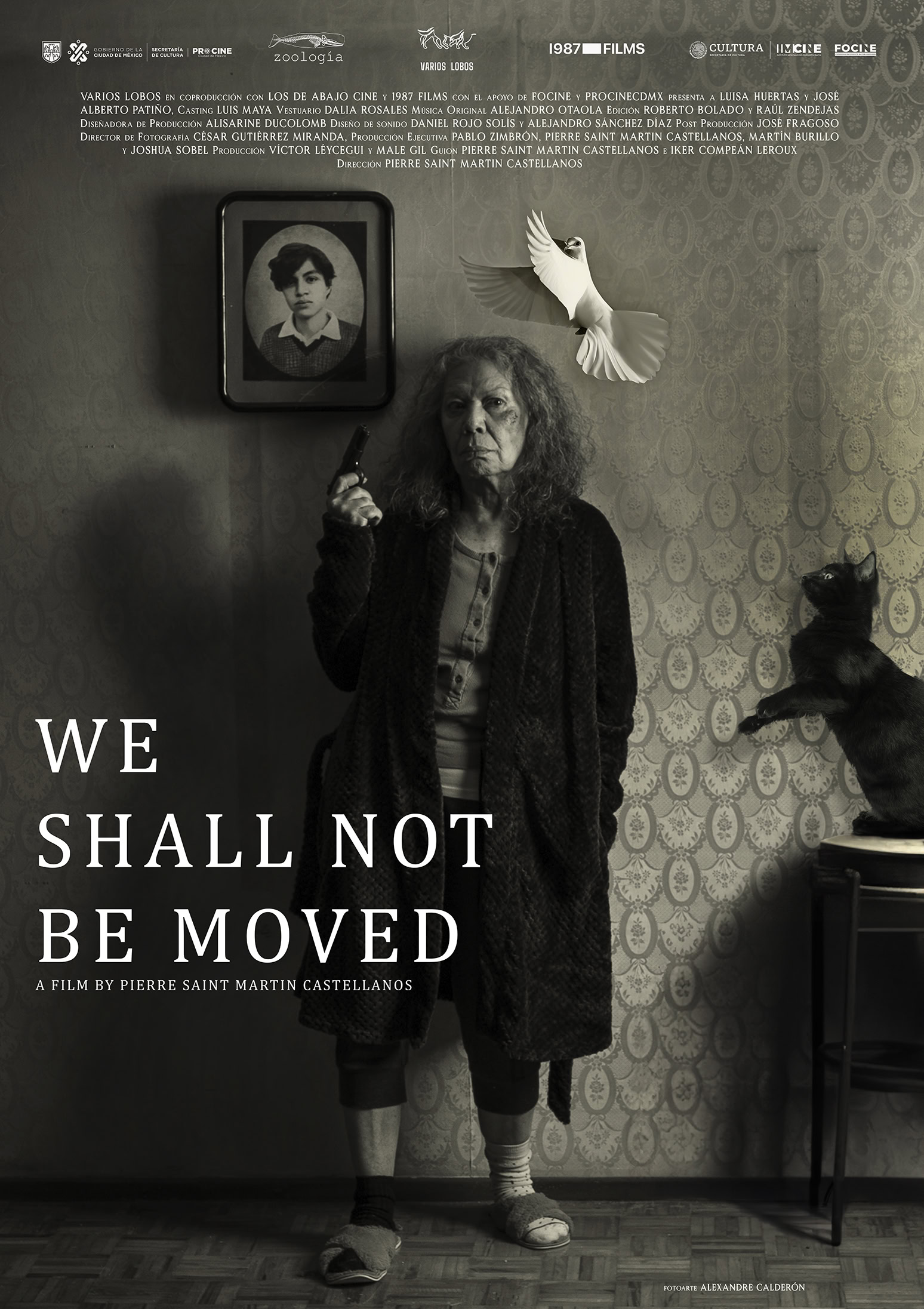 We Shall Not Be Moved Poster