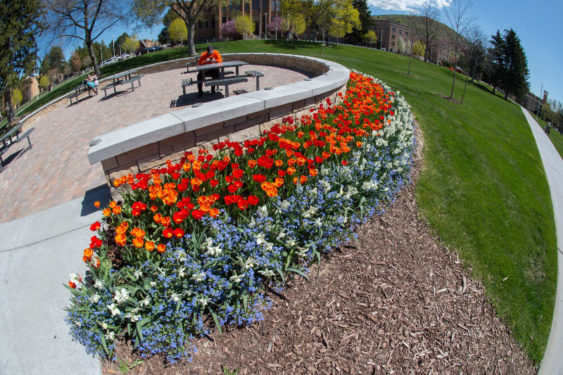 Flowerbed surrounding picnic area on ISU Pocatello campus quad