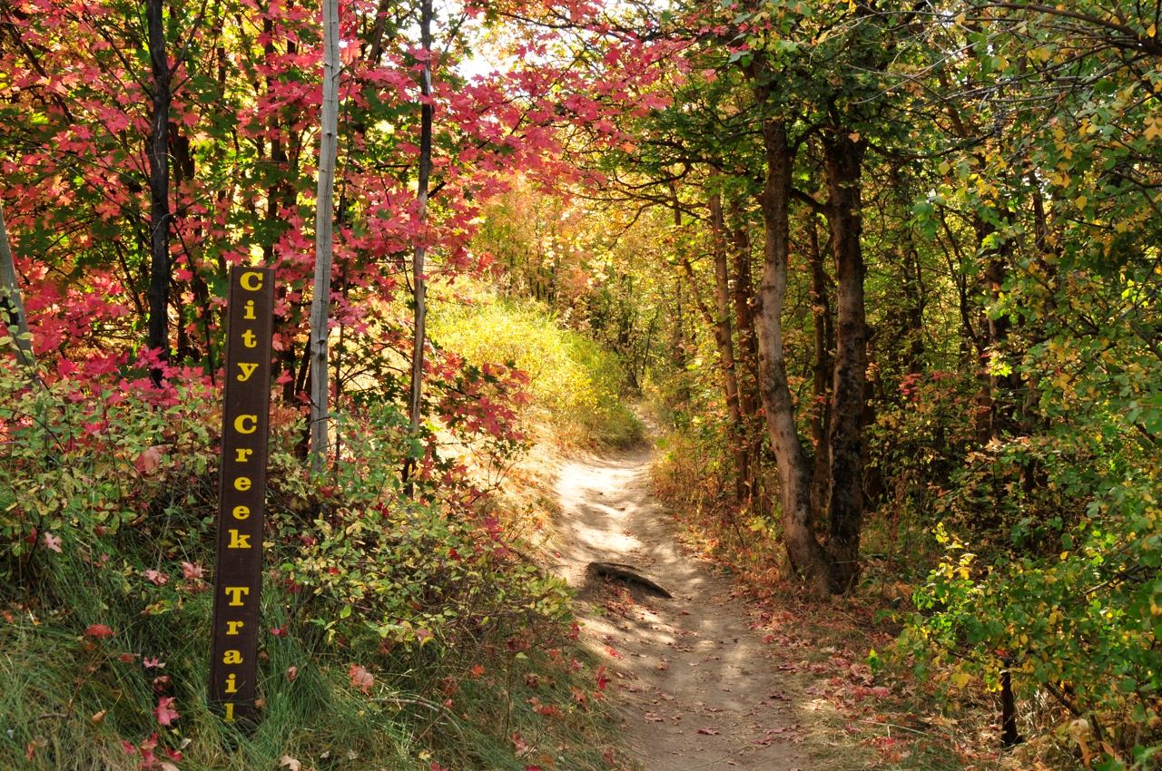 The City Creek Trail