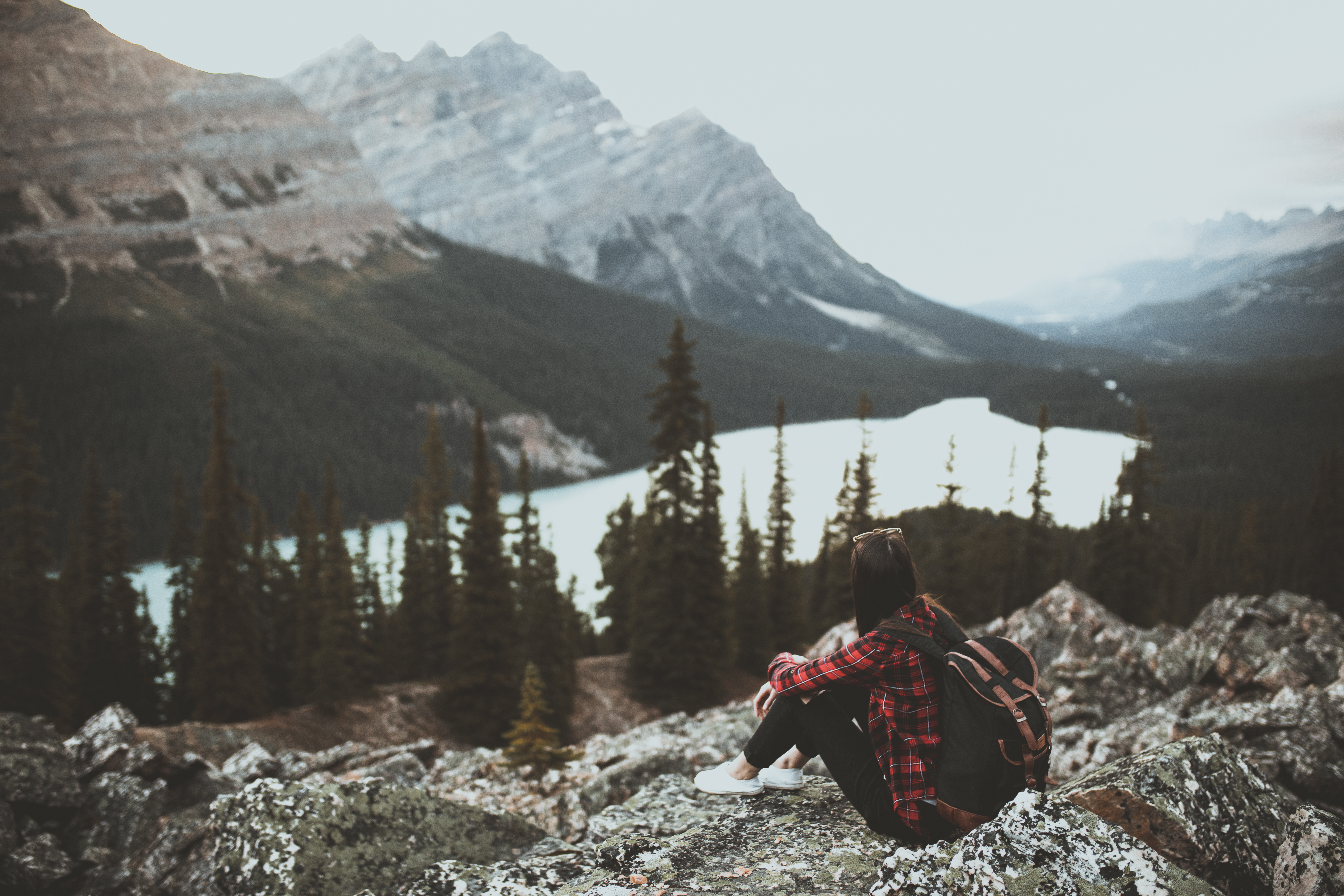 A person sitting on a cliff overlooking a forest and lake