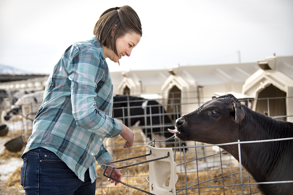 Student with a cow