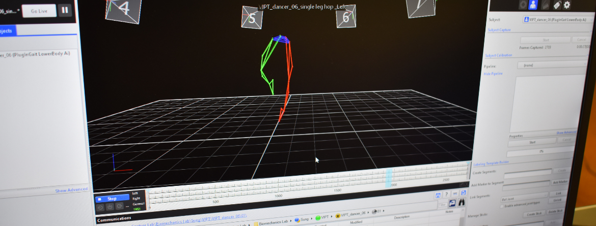 image of biomechanics software screen 