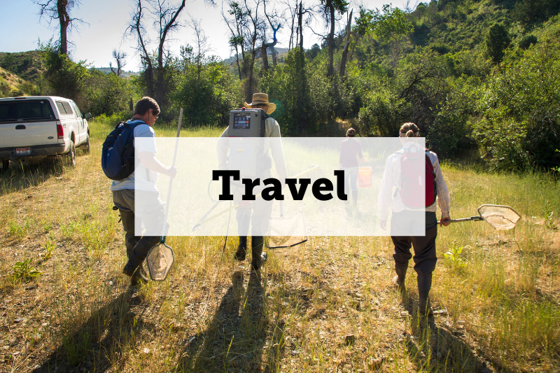 Image: A group of people in hiking gear walking into a wooded area. Text: Travel. Links to travel information for faculty and staff.