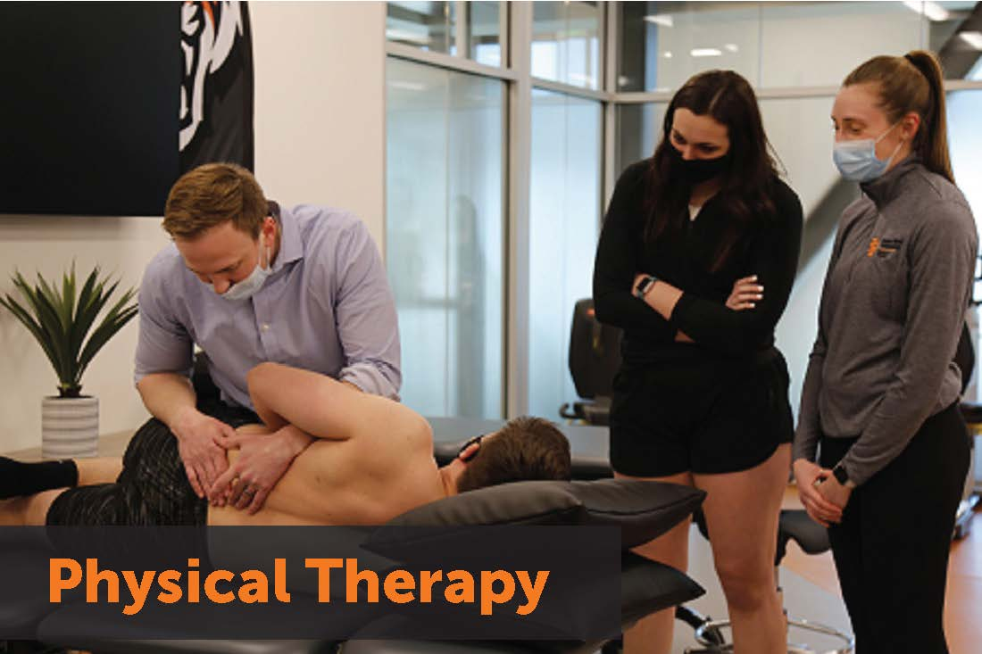 Two students watching a man demonstrate physical therapy techniques on a patient. Text: Physical Therapy. Links to homepage