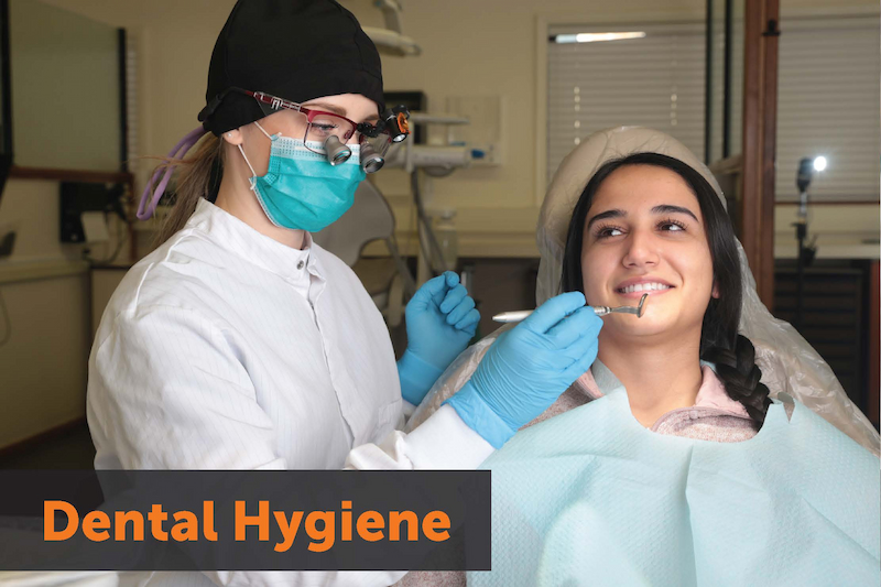 Image: a dental student shining a light on a patient's face and preparing to put a mirror tool in her mouth. Text: Dental Hygiene. Links to program Home Page.