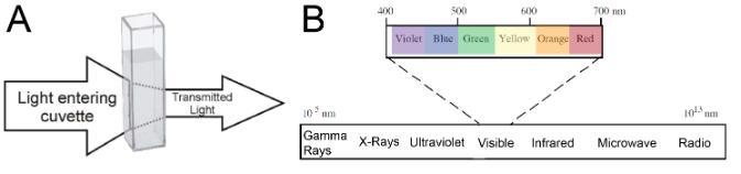 Spectrophotometers