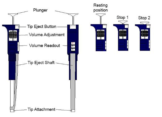 Micropipette structure & stops