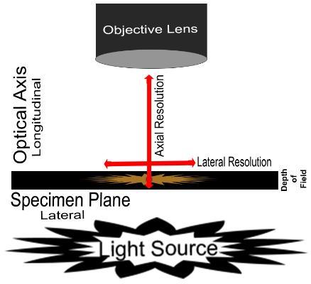 Tiny mirror improves microscope resolution fo