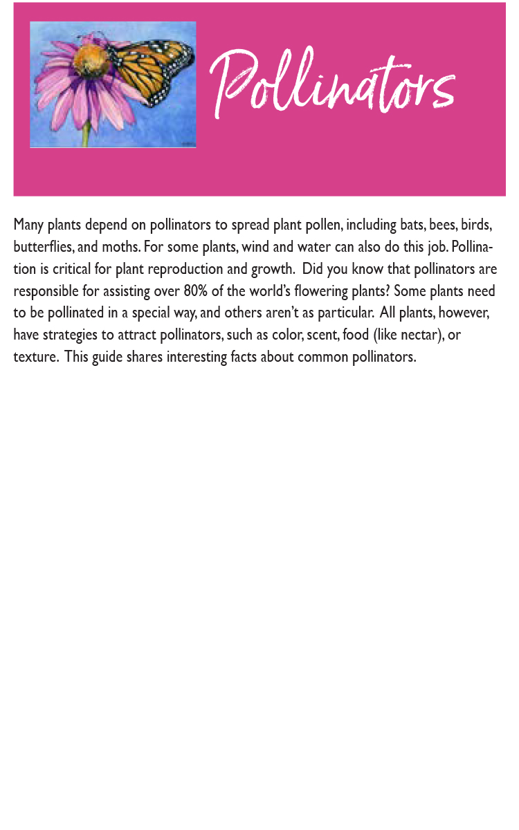 INPP Guide 2A