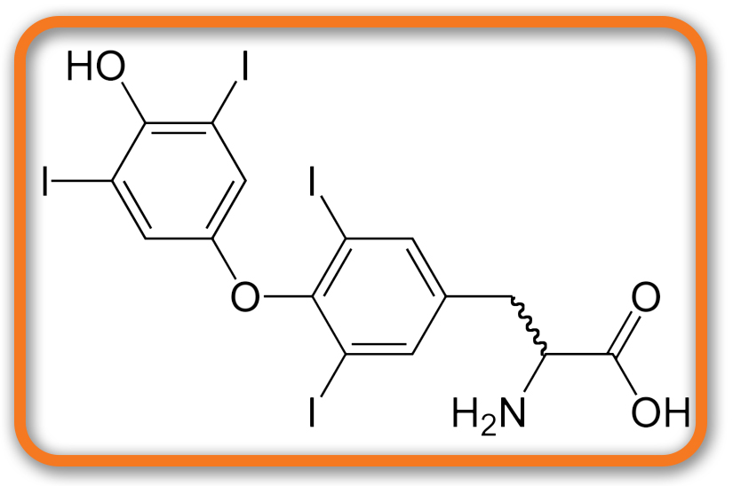 The diagram for a molecule
