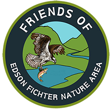 Friends of Edson Fichter Nature Area