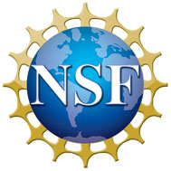 NSF logo