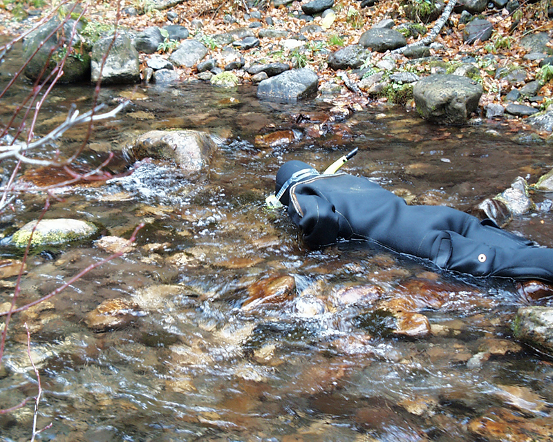 10-24-02 Amy Jenkins conducting a snorkeling survey; Burns Canyon Creek, SE Idaho