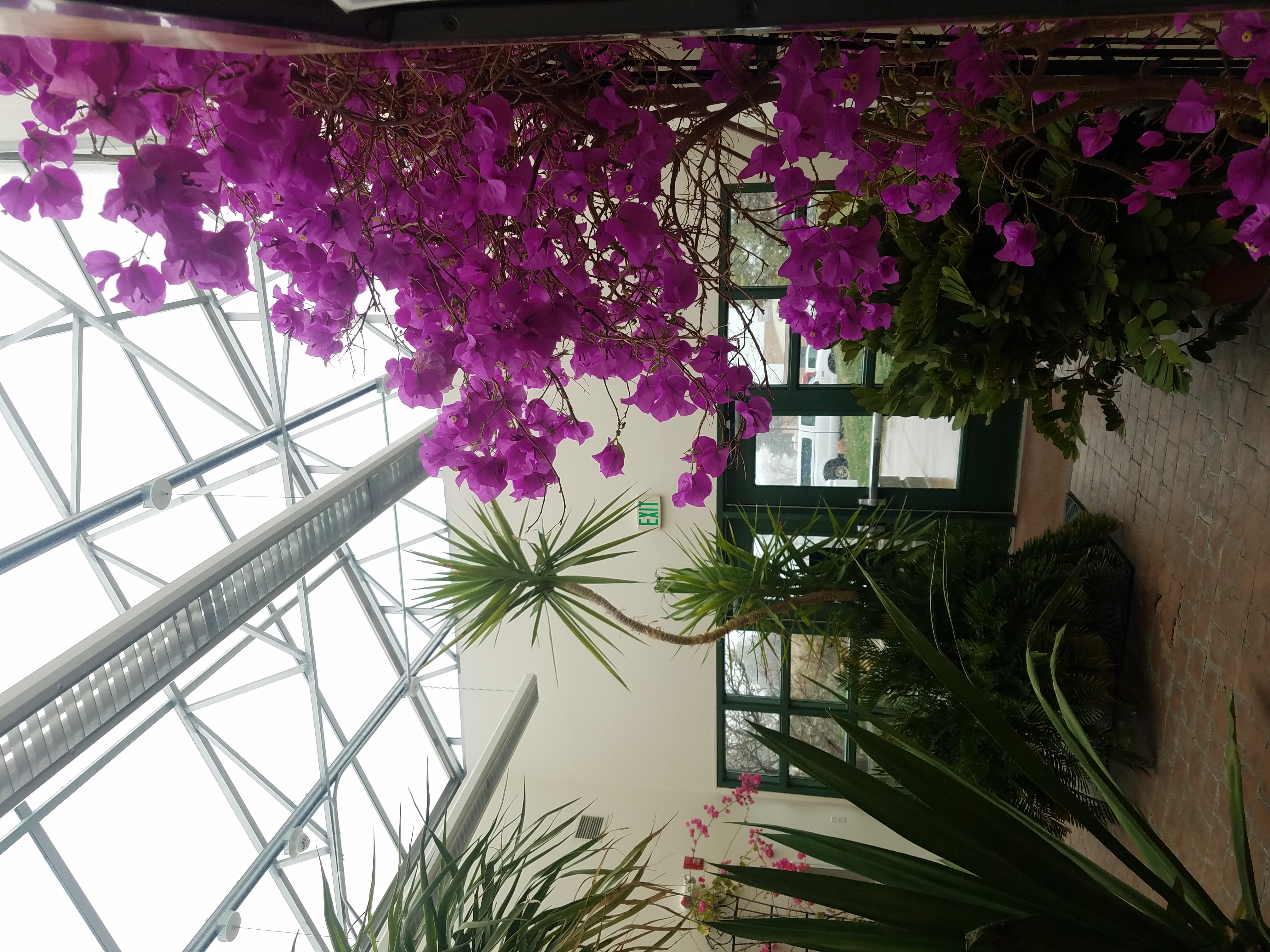 The Plant Sciences lobby