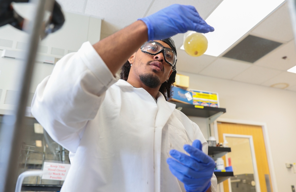 Undergraduate research assistant inspecting a bacteria culture flask.