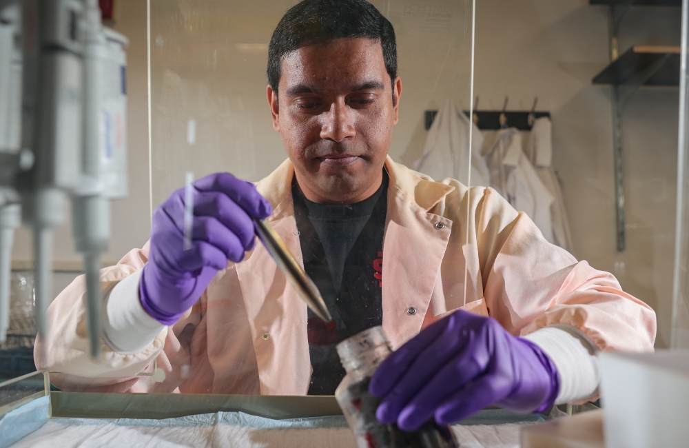 Anirban Chakraborty studies a sample of deep-sea sediment in his lab on the ISU Pocatello campus. The deep-sea sediments contain Earth's hardiest organisms - known as extremophiles - these organisms may help shine a light on to where life may be found in outer space.
