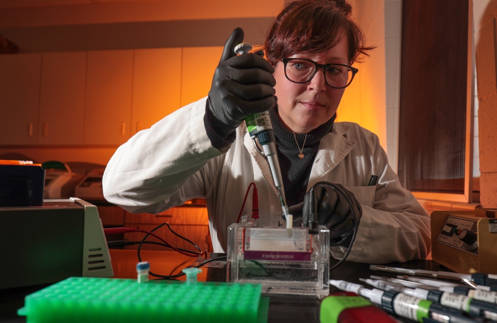 Dr. Kristin Lane investigating malaria mitochondrial gene regulation.