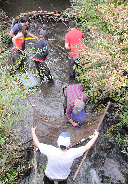 09-14-17 Collecting fish with Dr. Keeley; Mink Creek, Pocatello, ID.