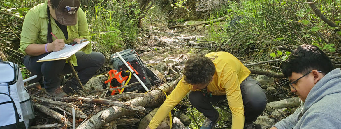 Students conducting fieldwork at a stream up Gibson Jack