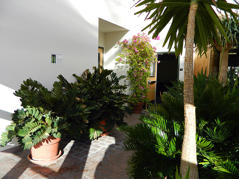 Plant Science Building Inside