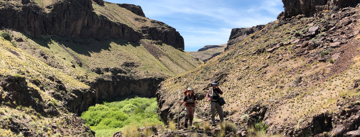 Students conducting field work