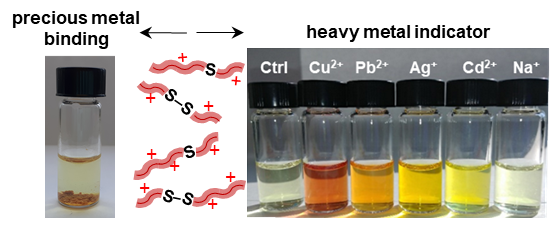 Photo of vials, fartherst left labeled preceious metal binding, and the five to the right labled heacy metal indicator and various compounds